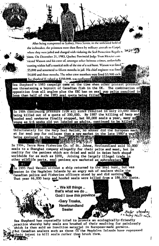 e g wamponc 0 Sydne, Nova Sces 1 e wmesed I heicebreke, e prisoncs we then lown i o Gt e ey wee e s chrgedwith visiog e S Prestion Rl . O December 21, 1983, Quebee Provincil s Yon Mo oing wihi ol il il ofhe o 3 b, W s o 55,00 snd semenced e s n s His i eniner wa v 54000 snd e . he e e memben v fd $300 fSca Shephera:s 198 campoig case st the time vhen ol fuas theeatening a boycott of Canadian fish in the UK. opposition from 11 angles plus the ESC ban on seal b Te25 than hal € of the 1983 seal quota being filled ‘Continaing pressure 1ron a1l siges resulted 1n only 23, being killed out of a uota of 200,000. By 1987 the killing of harp and) led seal nevborns finally stopped, but 60,000 seals a year, many s ¢ Jabeled o3 adults, continved to be’killed In 1954, Teer 3 , Rewtoundland sold 50,000 seals t6 a Shanghai campany allegedly for their pelts and meat, but in reality for the pentses vhich are deied and sold in Asien herb shopsh voclduide for as mch as $200, Joining the largely illegal trade tn other wildlife pacts, seal penis: r.. o A SR H [beaten in the agdslen Tslands by an engey mob of sealers while ‘Canadian police and Fisheries officers stood by and did nothing! That year €6,000 harp and hooded seals vere killed fron a 186,000 Gbot 0 harp 2 ~Gary Troake, Nowloundiand Soalor Facler stawda Sea Shepherd has repeatedly tried to PEomte an ecologically-friendly peectice whereby baby seals are brushed of their mouiting fur painicasly ., “Ehich i then 591 85 Ineution matezial in Ecopoan-sade garert R Comadian setect’ s an thone T e e Tt e ripressed é{’.\fin intent to ki1l meals rather Trush them.